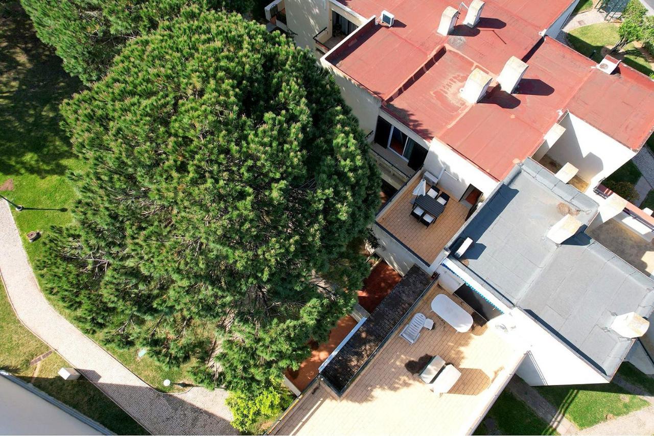 Hakuna Matata House 阿尔沃尔 外观 照片